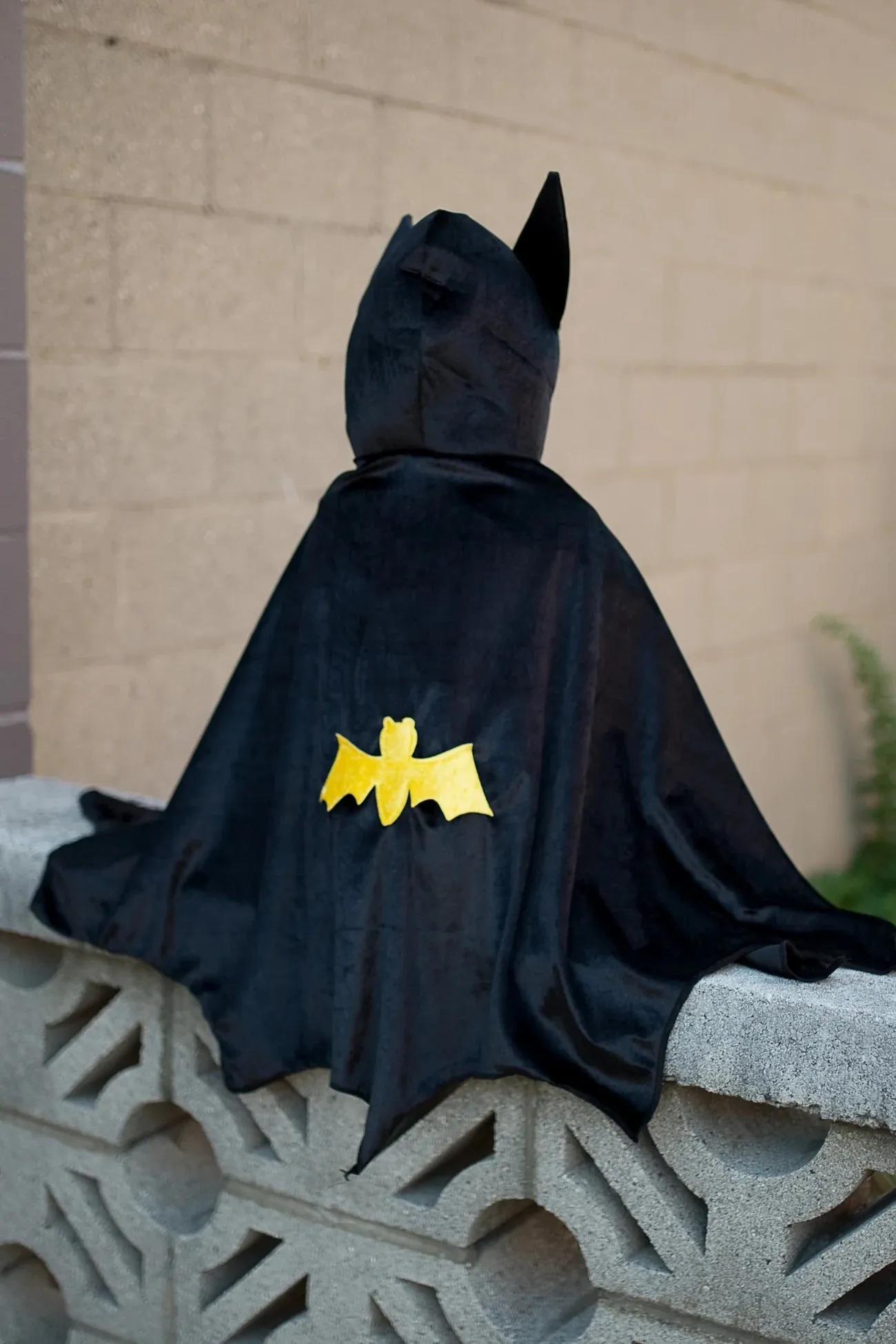 Black Bat Cape